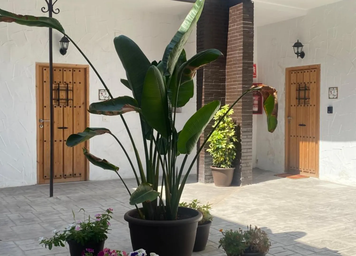 La Parra Apartamento Jerez de la Frontera 0*,